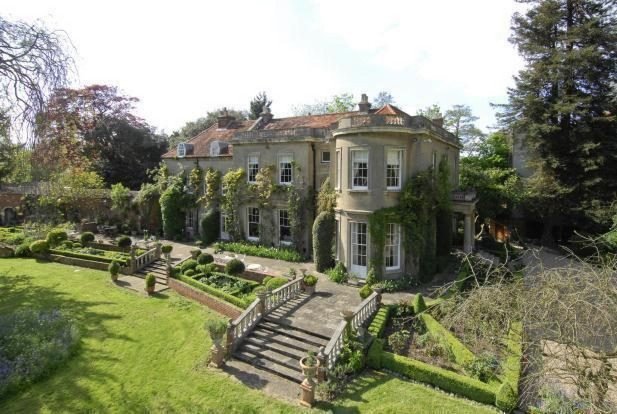 Οι Κλούνεϊ δεν κάνουν παιδιά, υιοθετούν σκύλους [εικόνες] | iefimerida.gr 2