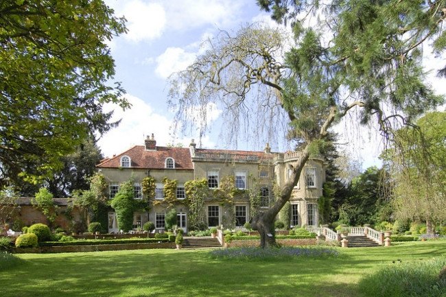 Οι Κλούνεϊ δεν κάνουν παιδιά, υιοθετούν σκύλους [εικόνες] | iefimerida.gr 4