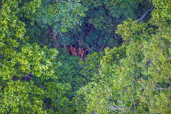 Φωτογράφος απαθανάτισε απομονωμένη φυλή στον Αμαζόνιο -Ζουν όπως οι πρόγονοί μας [εικόνες]  | iefimerida.gr 2
