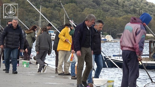 «Πανικός» στην Αμφιλοχία: –Ψαράδες έκαναν ουρά για να μαζέψουν γαρίδες με τους κουβάδες [εικόνες] | iefimerida.gr 0