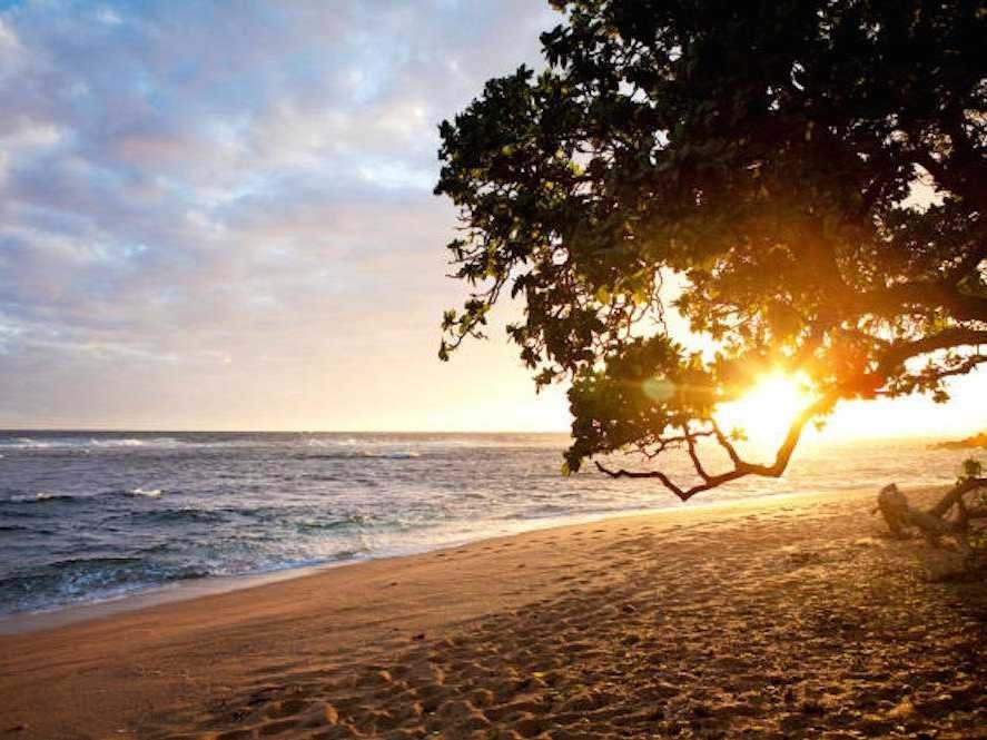 O Ζούκερμπεργκ αγόρασε στον εαυτό του έναν τροπικό παράδεισο [εικόνες] | iefimerida.gr 3