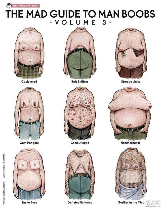 Οι 27 τύποι του ανδρικού στήθους με πολύ... χιούμορ [εικόνες] | iefimerida.gr 1