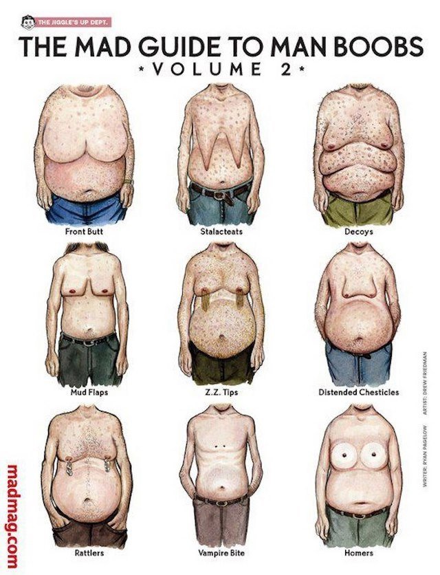 Οι 27 τύποι του ανδρικού στήθους με πολύ... χιούμορ [εικόνες] | iefimerida.gr 2