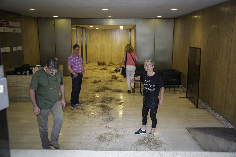 Ακτιβιστές πέταξαν... σανό στα γραφεία των ΑΝΕΛ [εικόνες] | iefimerida.gr 1