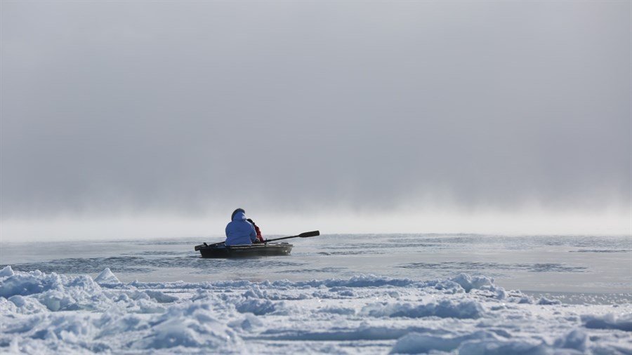 Αρχίζει στην ταινιοθήκη το Πανόραμα Οικολογικών Φιλμ -Για περιβάλλον και διατροφή [πρόγραμμα]  | iefimerida.gr 2