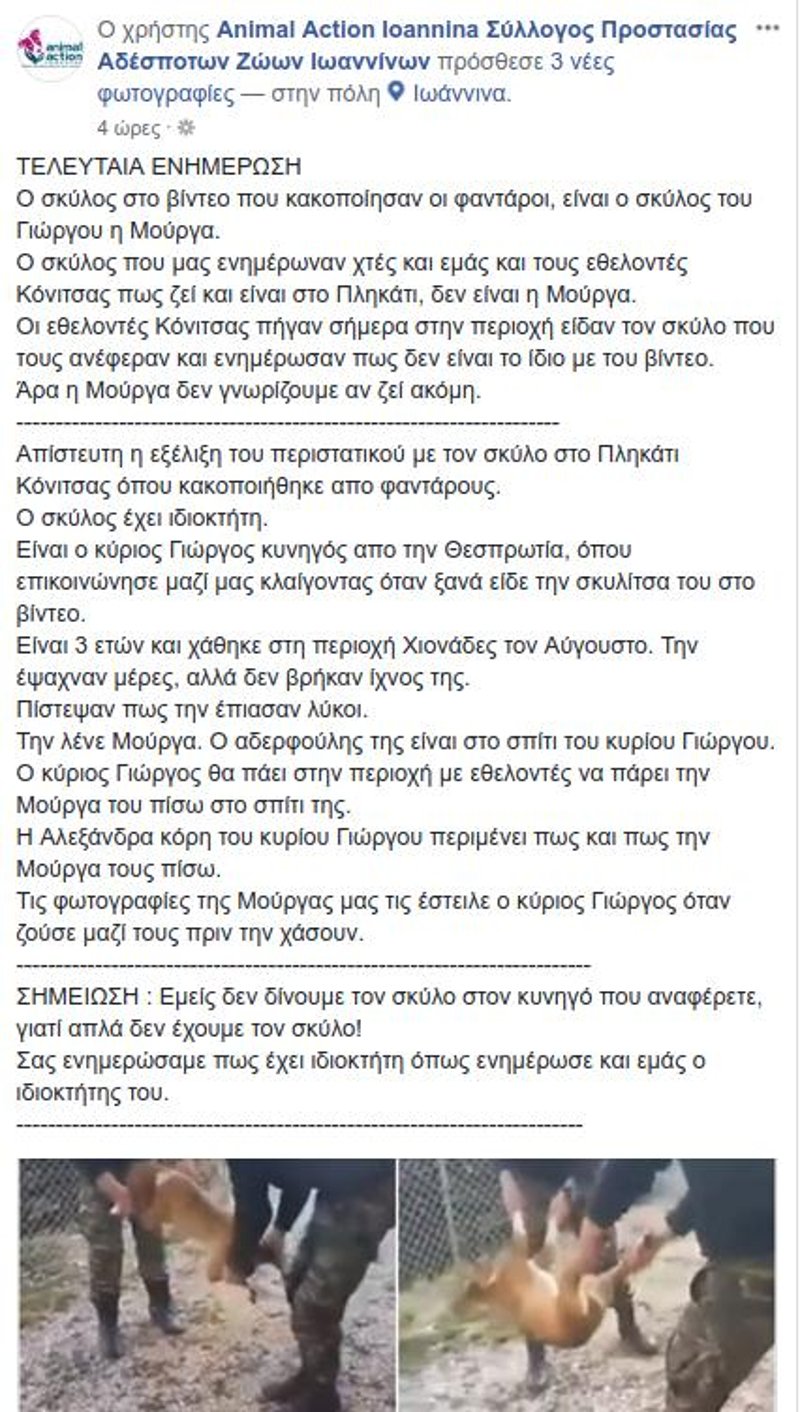 Θρίλερ με τον σκύλο που κακοποίησαν οι φαντάροι -Αγνωστο εάν ζει [εικόνες] | iefimerida.gr 0