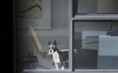 Ο φωτογράφος Arne Svenson έκλεψε στιγμές από τους γείτονές του -Συγκλονιστικές ματιές στην ιδιωτική ζωή των άλλων [εικόνες] | iefimerida.gr 8