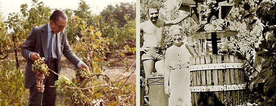 Η Άννα-Μισέλ Ασημακοπούλου παράγει το δικό της τσίπουρο [εικόνες] | iefimerida.gr 2