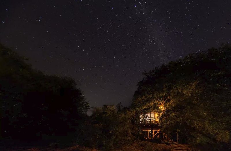 Διακοπές σε ονειρεμένα δεντρόσπιτα της Ελλάδας -Μποέμ διάθεση και ηρεμία στη φύση [εικόνες] | iefimerida.gr 1