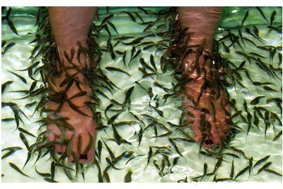 Αυτές είναι οι εννιά πιο παράδοξες θεραπείες ομορφιάς σε σπα [εικόνες] | iefimerida.gr 5