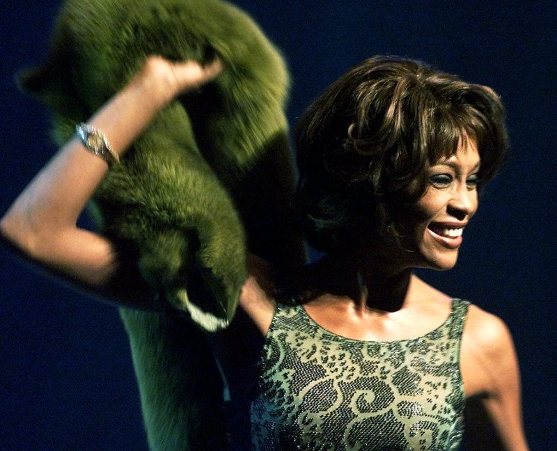 Αποκαλυπτικό ντοκιμαντέρ για τη ζωή και το τέλος της Γουίτνεϊ Χιούστον [βίντεο] | iefimerida.gr 0