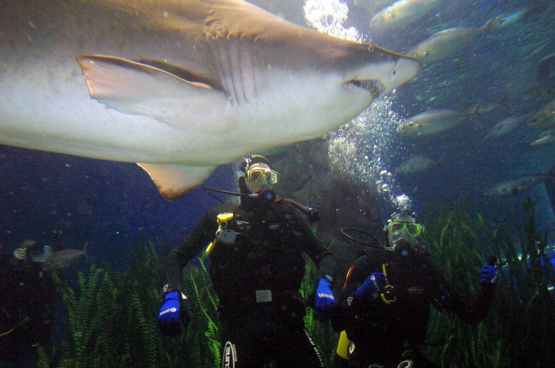 Η πορνοστάρ που πλάγιασε με τον Τραμπ αποκαλύπτει ποιος είναι ο μεγαλύτερος φόβος του [εικόνες] | iefimerida.gr 2
