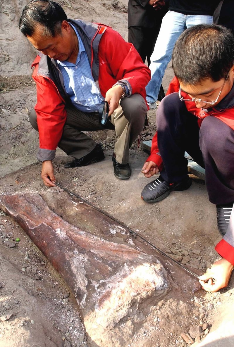 Κίνα: 5+1 σπουδαία αρχαιολογικά ευρήματα του 2017 -Λείψανα, τάφροι και ένα κομβόι άμαξες [εικόνες] | iefimerida.gr 0