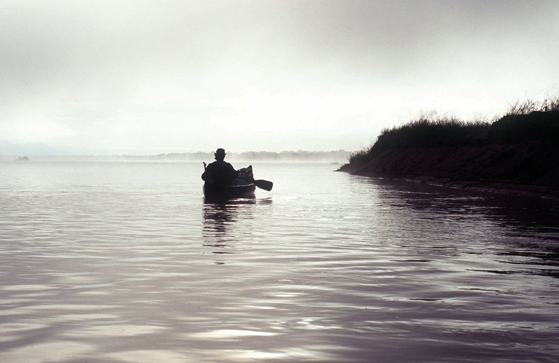 Κροκόδειλος της έφαγε όλο το χέρι, λίγο πριν το γάμο -Η νύφη πήγε κανονικά στην τελετή... [εικόνες] | iefimerida.gr 0