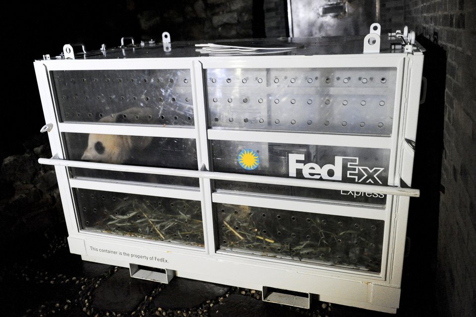 Το 16 ωρών ταξίδι του γιγάντιου πάντα από την Ουάσιγκτον στην Κίνα [εικόνες] | iefimerida.gr 4