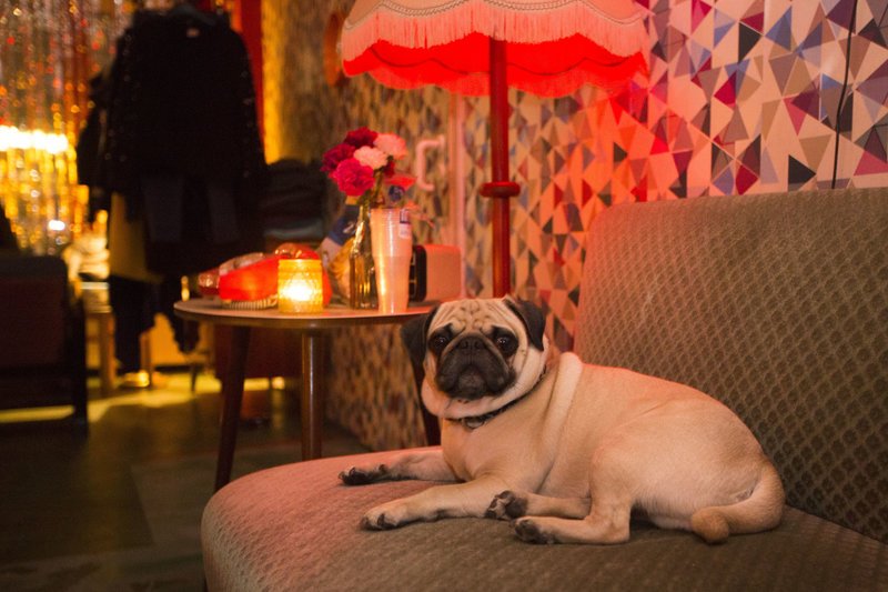 Στη Γερμανία έφτιαξαν κλαμπ για όσους μισούν το γυμναστήριο -Μπύρες, άραγμα και ασκήσεις σε πολυθρόνες [εικόνες] | iefimerida.gr 3