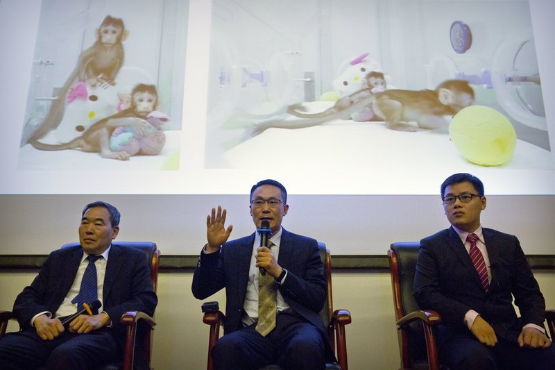 Κλωνοποίησαν, για πρώτη φορά, και μαϊμούδες -Ερχεται η σειρά των ανθρώπων; [εικόνες & βίντεο]  | iefimerida.gr 1