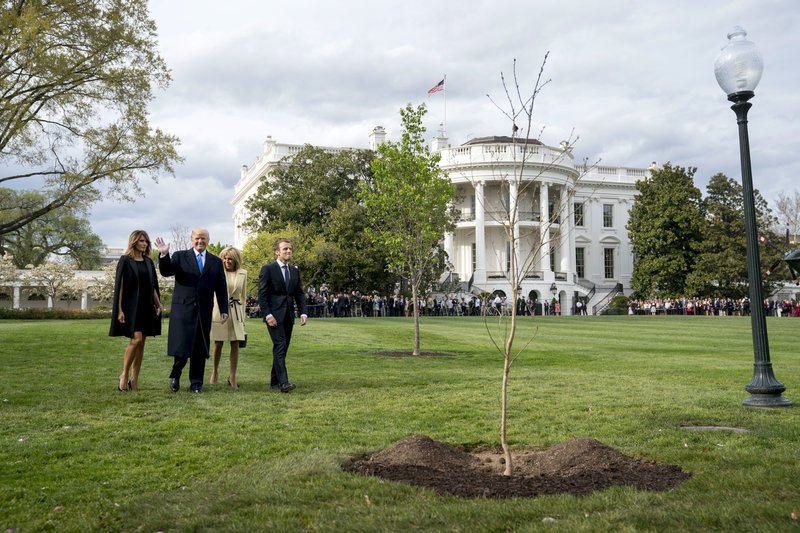 Το δέντρο που φύτεψαν Μακρόν Τραμπ «εξαφανίστηκε» από τον Λευκό Οίκο [εικόνες] | iefimerida.gr 0