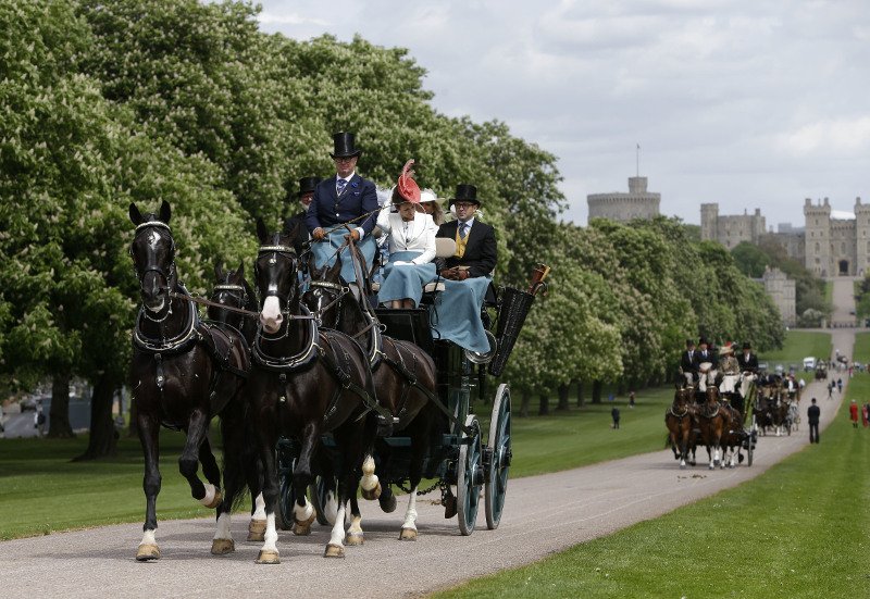 Εκδρομές, προφυλακτικά, γλυκά και φαγητά -Τι ετοιμάζουν για τους φαν του Χάρι και της Μέγκαν | iefimerida.gr 1