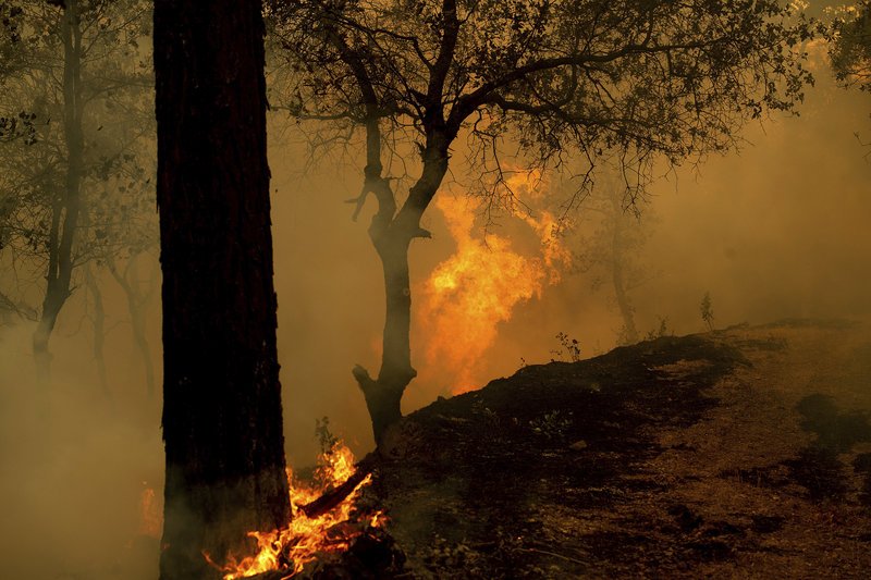Εξαπλώνεται η πύρινη λαίλαπα στην Καλιφόρνια -Πέντε νεκροί, 17 αγνοούμενοι [εικόνες] | iefimerida.gr 0