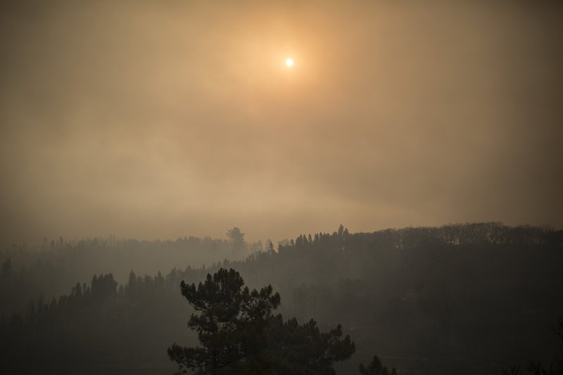 Πύρινος εφιάλτης στην Πορτογαλία: Η πυρκαγιά εξαπλώνεται προς δημοφιλή τουριστικά θέρετρα [εικόνες & βίντεο]  | iefimerida.gr 1