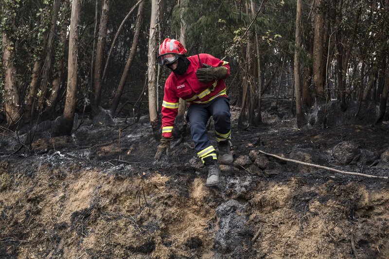 Πύρινος εφιάλτης στην Πορτογαλία: Η πυρκαγιά εξαπλώνεται προς δημοφιλή τουριστικά θέρετρα [εικόνες & βίντεο]  | iefimerida.gr 6