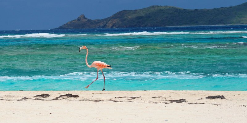 Η τέλεια δουλειά -Ο Ρίτσαρντ Μπράνσον ψάχνει υποδιευθυντή για το εξωτικό νησί του [εικόνες] | iefimerida.gr 2