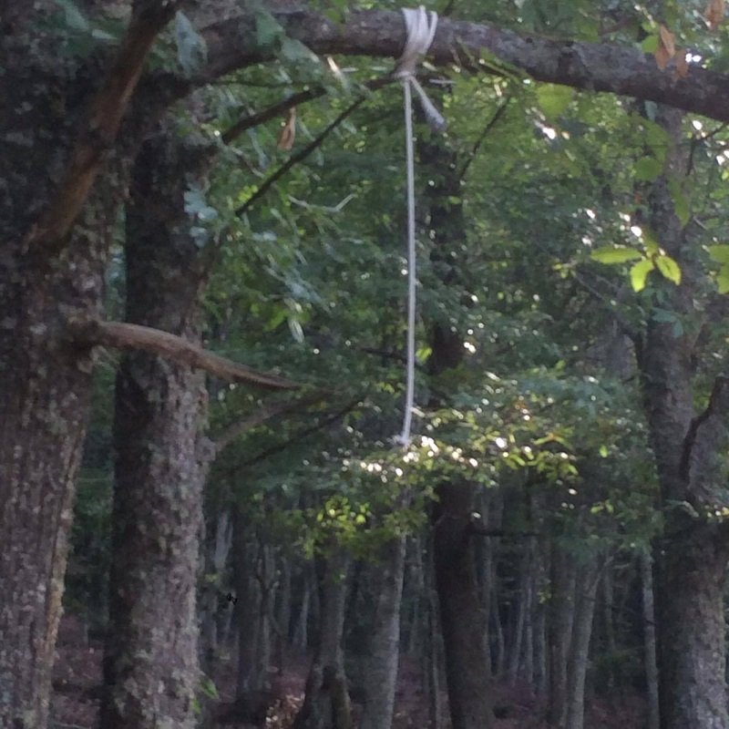 38χρονος βρέθηκε κρεμασμένος σε δάσος στη Θεσσαλονίκη -Αιτία μια ερωτική απογοήτευση [εικόνες] | iefimerida.gr 0