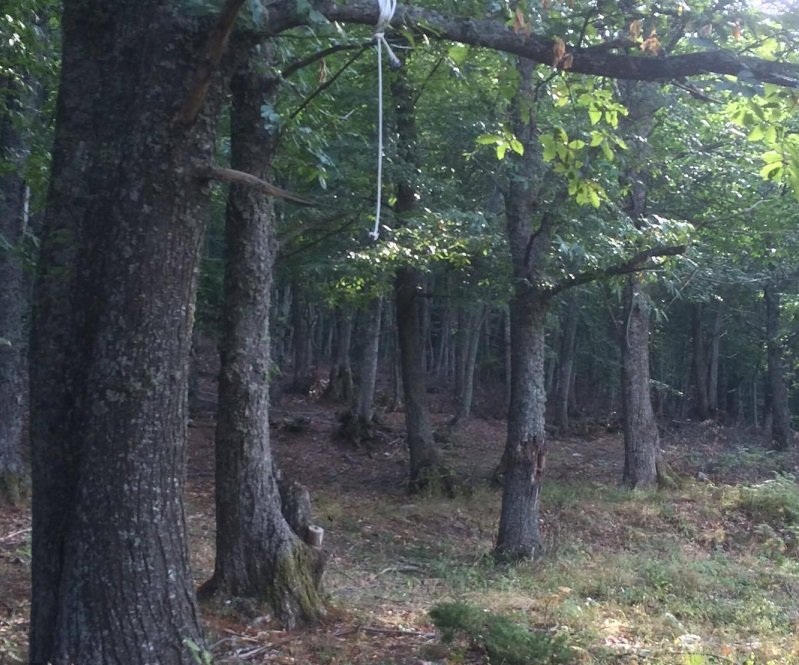 38χρονος βρέθηκε κρεμασμένος σε δάσος στη Θεσσαλονίκη -Αιτία μια ερωτική απογοήτευση [εικόνες] | iefimerida.gr 1