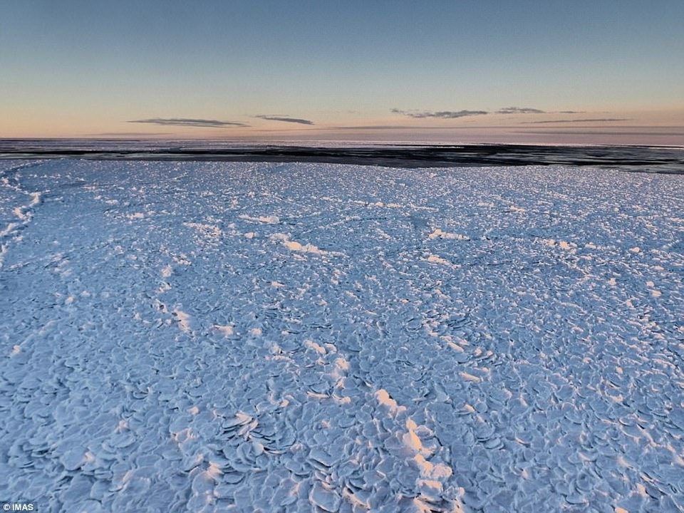 Σπάνιο θέαμα στην Ανταρκτική -Το περίεργο σχήμα του πάγου που μοιάζει με... δέρμα δράκου [εικόνες]   | iefimerida.gr 1