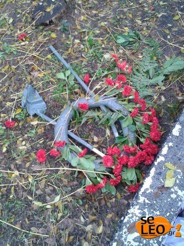  Ενταση στη Θεσσαλονίκη: Φοιτητές πέταξαν το στεφάνι που κατέθεσε ο πρύτανης του ΑΠΘ [εικόνες] | iefimerida.gr 1