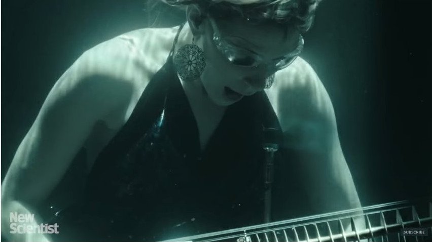 AquaSonic: Η μπάντα που παίζει μουσική κάτω από το νερό -Έχουν ειδικά υποβρύχια όργανα[βίντεο]  | iefimerida.gr 0