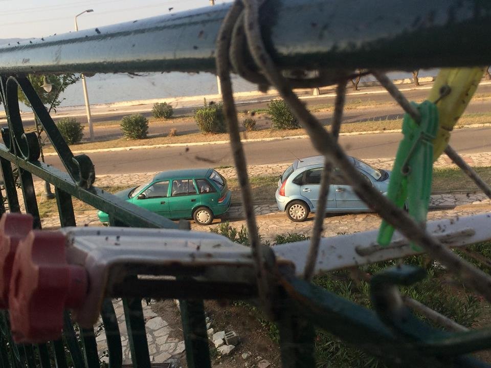 Απίστευτες εικόνες: Oι ιστοί αραχνών σκέπασαν και τα σπίτια στο Αιτωλικό | iefimerida.gr 0