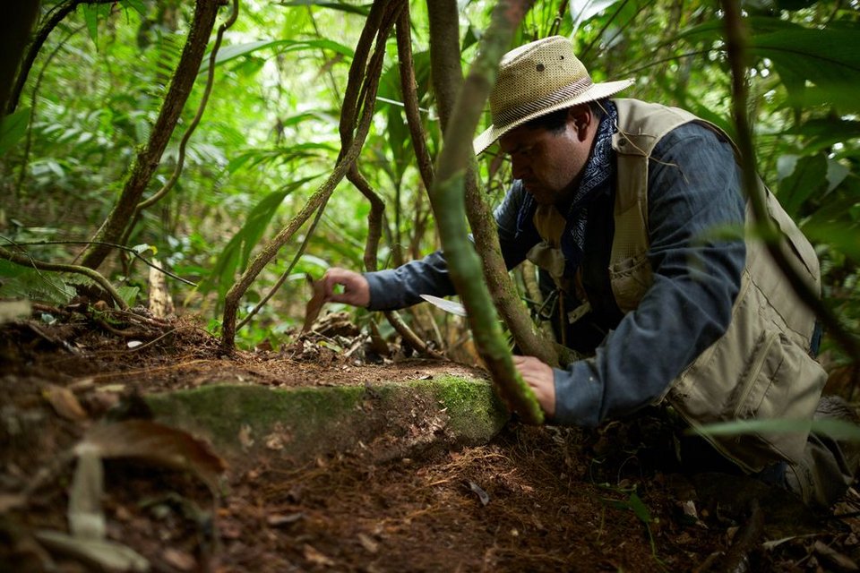 Η ανακάλυψη που τρέλανε τους αρχαιολόγους -Βρέθηκε η μυθική «Λευκή Πόλη»; [εικόνες] | iefimerida.gr 1