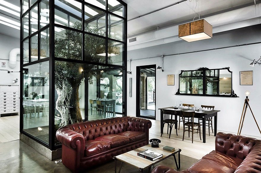 Ντιζάιν και φύση: Οταν ελιές και άλλα δένδρα δεσπόζουν στη μέση του... σαλονιού [εικόνες] | iefimerida.gr 3