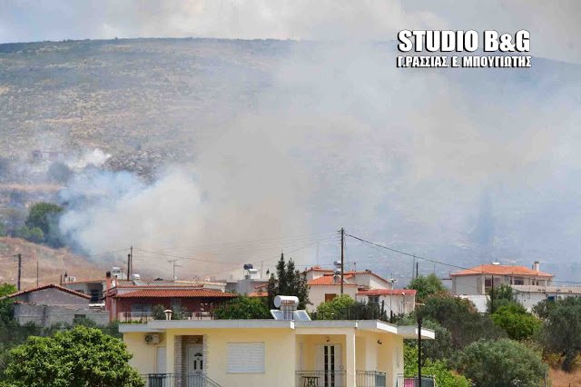 Αργολίδα: Φωτιά στα Δέντρα Μιδέας -Κινδύνεψαν σπίτια [εικόνες] | iefimerida.gr 0