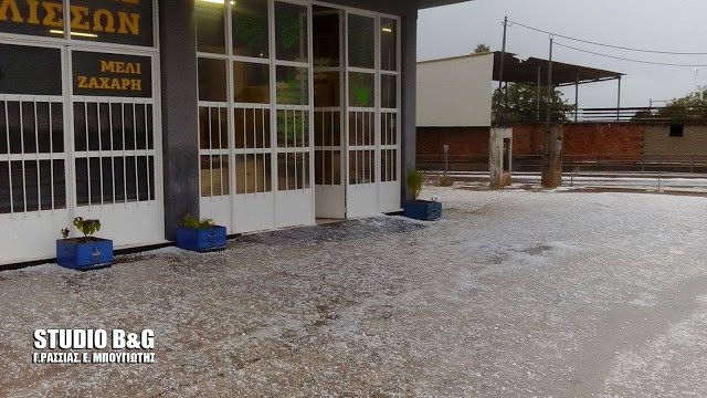 Ισχυρή χαλαζόπτωση στην Αργολίδα -Λευκοί οι δρόμοι, ζημιές στις καλλιέργειες [εικόνες & βίντεο] | iefimerida.gr 1