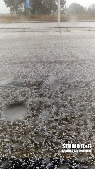 Ισχυρή χαλαζόπτωση στην Αργολίδα -Λευκοί οι δρόμοι, ζημιές στις καλλιέργειες [εικόνες & βίντεο] | iefimerida.gr 4