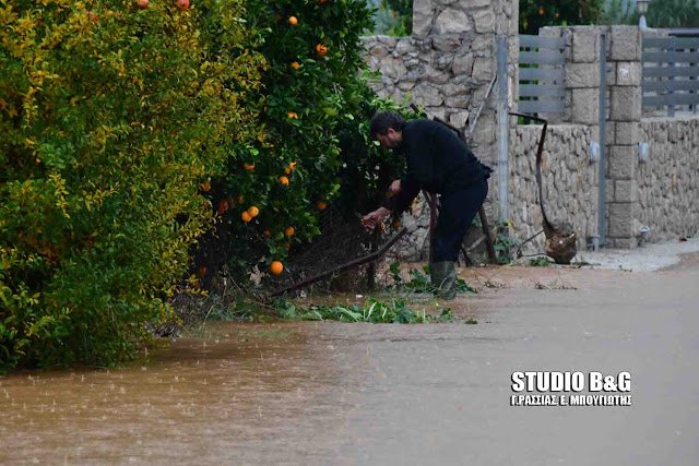 Καταρρακτώδης βροχή στην Αργολίδα -Πλημμύρισαν δρόμοι, ζημιές σε καταστήματα [εικόνες & βίντεο] | iefimerida.gr 4