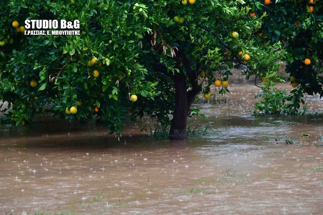 Καταρρακτώδης βροχή στην Αργολίδα -Πλημμύρισαν δρόμοι, ζημιές σε καταστήματα [εικόνες & βίντεο] | iefimerida.gr 5
