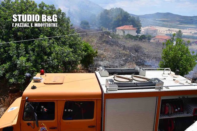 Αργολίδα: Φωτιά στα Δέντρα Μιδέας -Κινδύνεψαν σπίτια [εικόνες] | iefimerida.gr 4