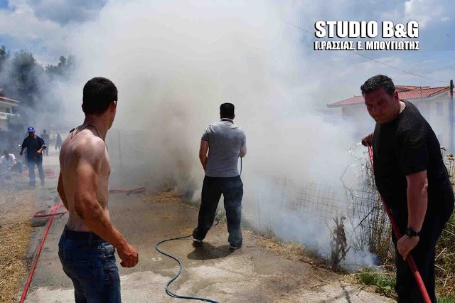 Αργολίδα: Φωτιά στα Δέντρα Μιδέας -Κινδύνεψαν σπίτια [εικόνες] | iefimerida.gr 5