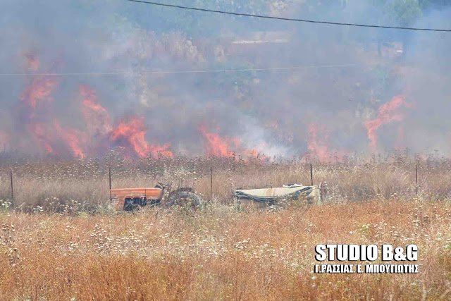 Αργολίδα: Φωτιά στα Δέντρα Μιδέας -Κινδύνεψαν σπίτια [εικόνες] | iefimerida.gr 1