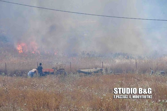 Αργολίδα: Φωτιά στα Δέντρα Μιδέας -Κινδύνεψαν σπίτια [εικόνες] | iefimerida.gr 2