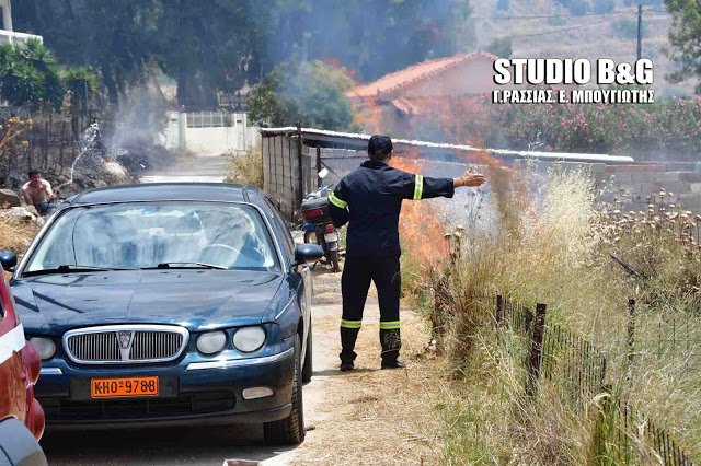 Αργολίδα: Φωτιά στα Δέντρα Μιδέας -Κινδύνεψαν σπίτια [εικόνες] | iefimerida.gr 6