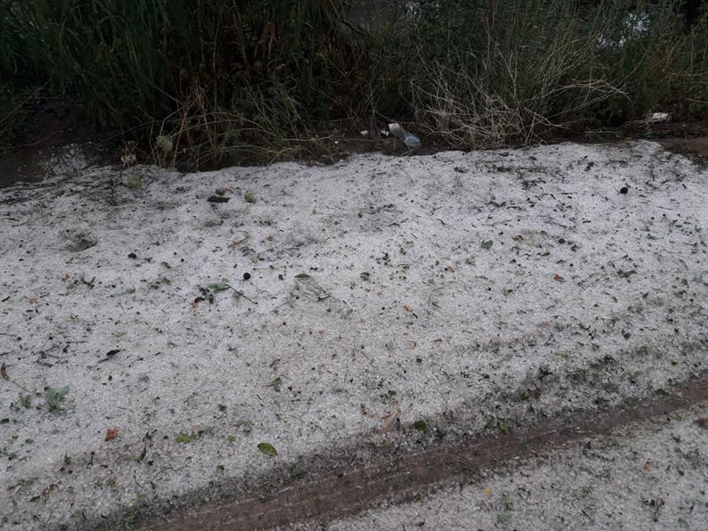 Τεράστιες καταστροφές από τη θεομηνία στην Αργολίδα -Ξεριζώθηκαν δέντρα, μεγάλες ζημιές σε καλλιέργειες [εικόνες & βίντεο] | iefimerida.gr 0