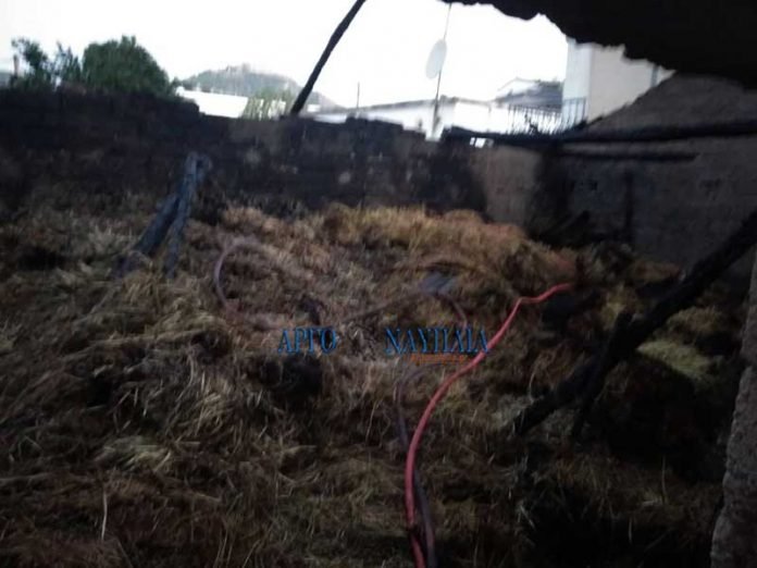 Λαμπάδιασε αποθήκη γεμάτη άχυρα στο Αργος [εικόνες] | iefimerida.gr 2