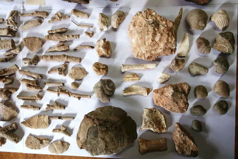 Εκατοντάδες αρχαία αντικείμενα βρέθηκαν σε αποθήκη της Χαλκιδικής [εικόνες] | iefimerida.gr 1