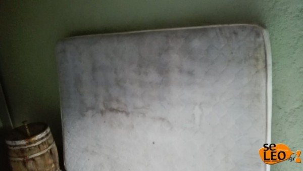 Αυτό ήταν το τελευταίο κρησφύγετο του συζυγοκτόνου της Χαλκιδικής -Ενα φυτώρειο [εικόνες] | iefimerida.gr 8