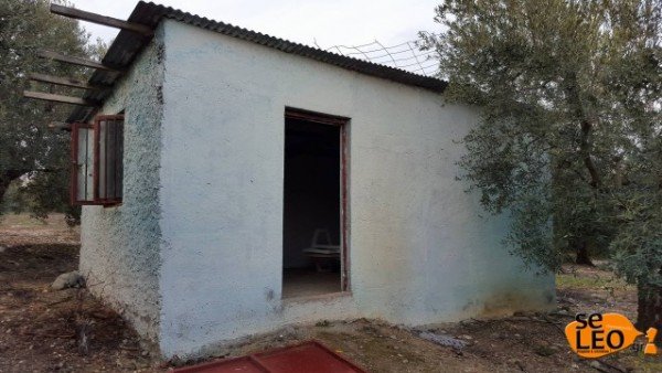 Αυτό ήταν το τελευταίο κρησφύγετο του συζυγοκτόνου της Χαλκιδικής -Ενα φυτώρειο [εικόνες] | iefimerida.gr 4